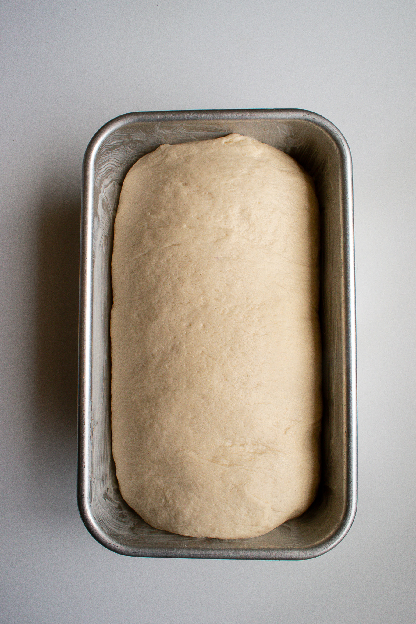 Overnight sourdough sandwich bread, rolled and shaped into a loaf before baking.