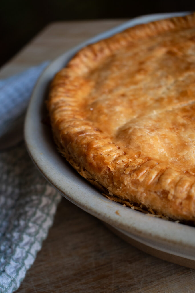 Sourdough discard pie crust in a pie dish.