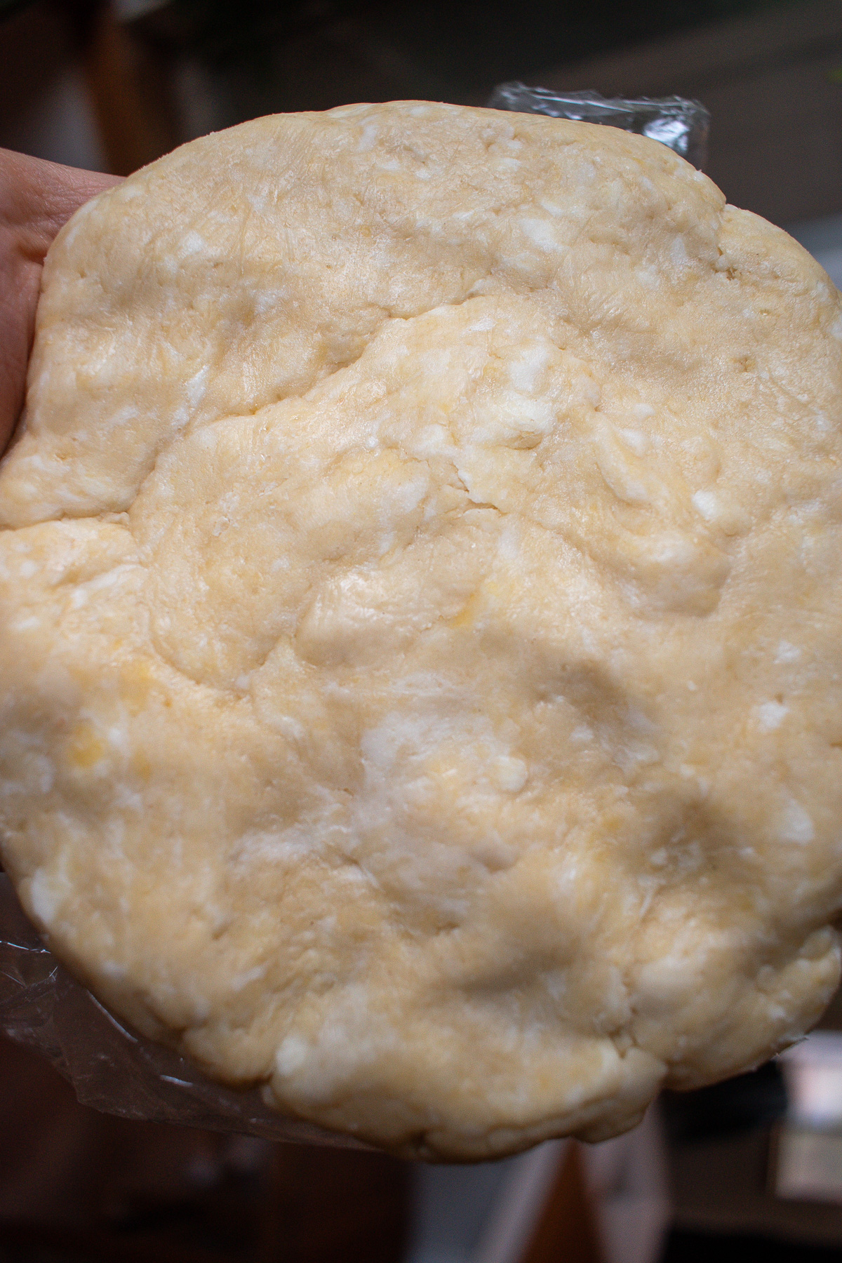 Sourdough discard pie crust in a disc before rolling out.