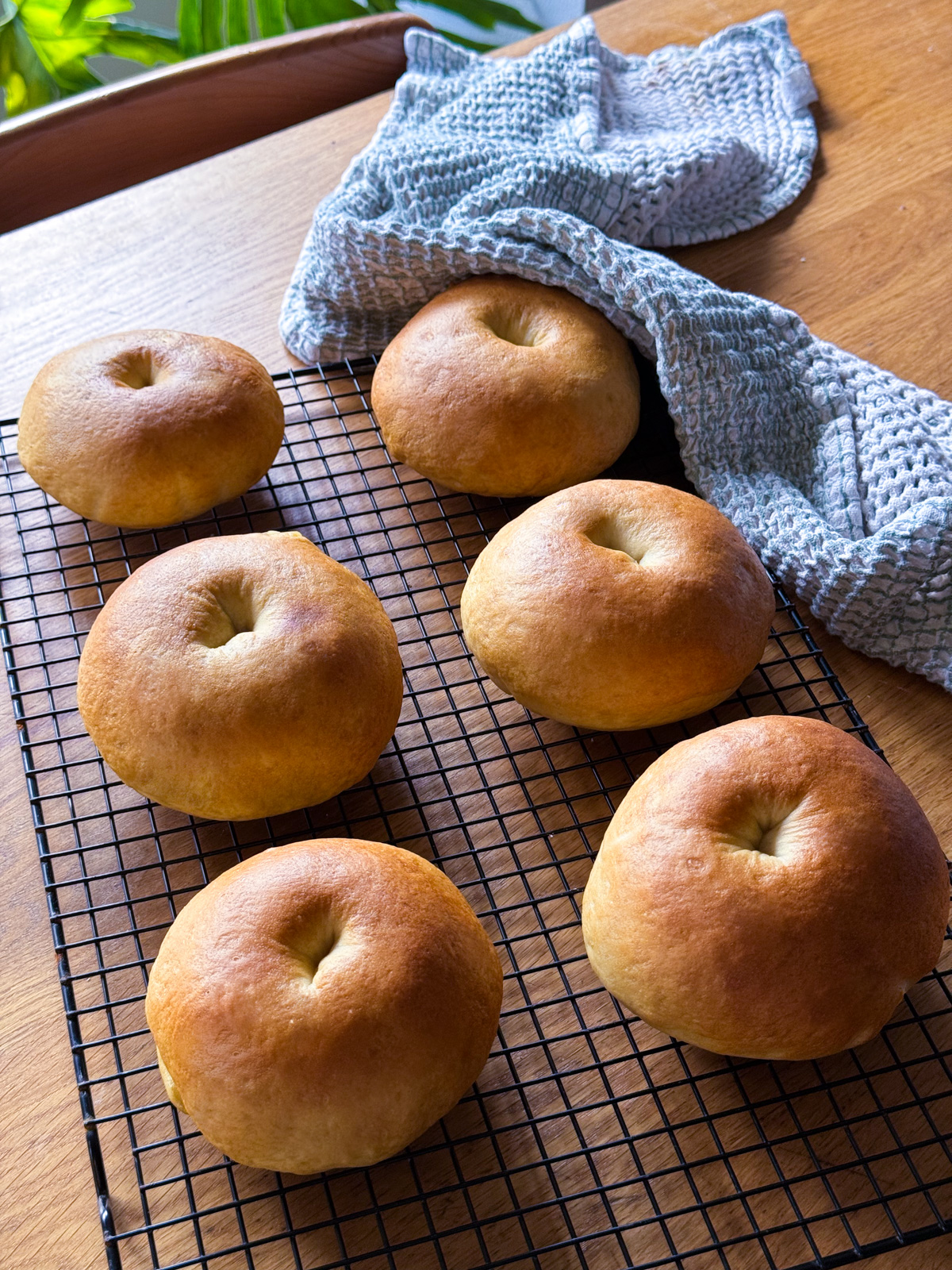 Sourdough discard bagels on a cooling rack.