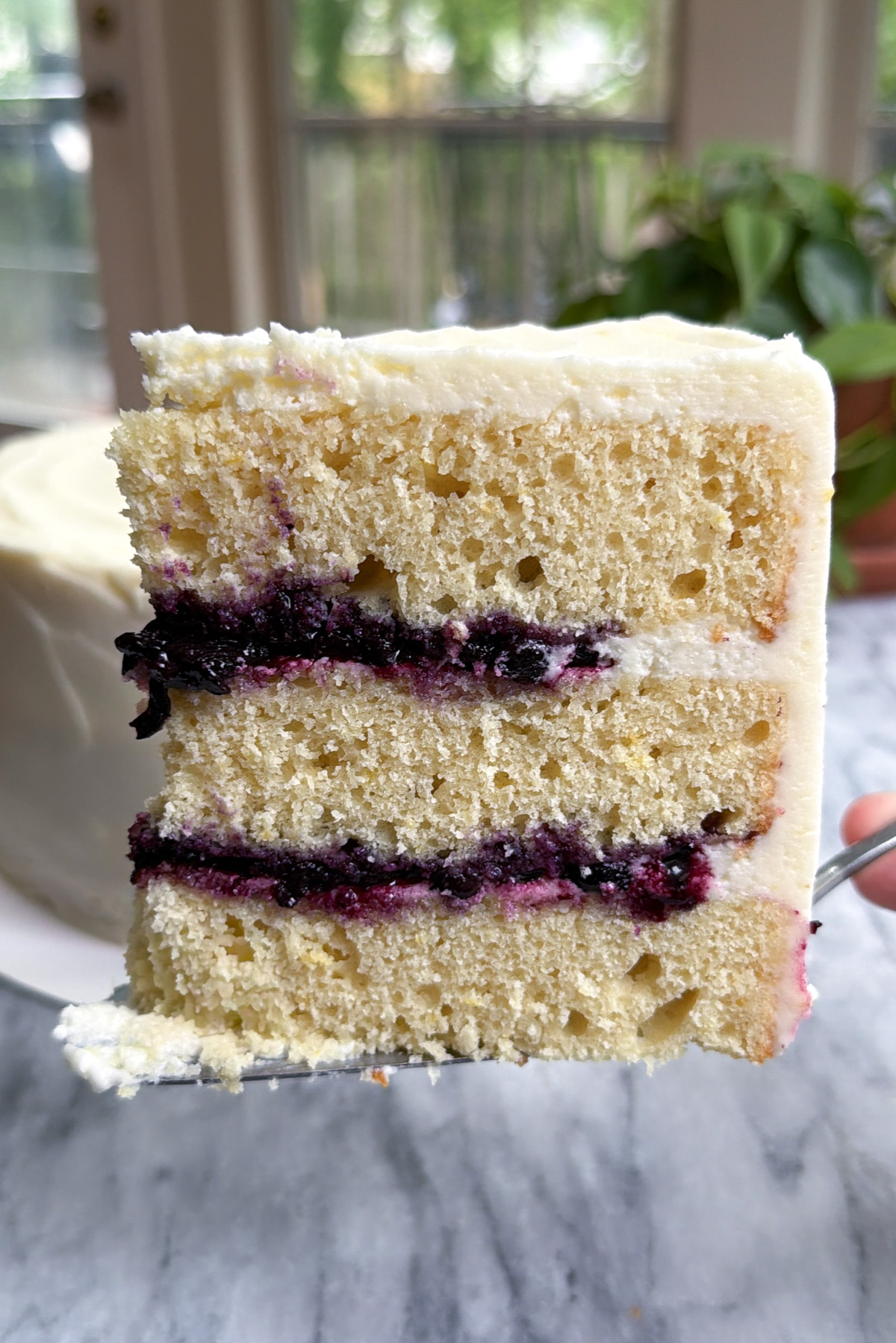 Picture of a slice of lemon-blueberry mascarpone cake showing the three layers of cake and the blueberry compote filling.