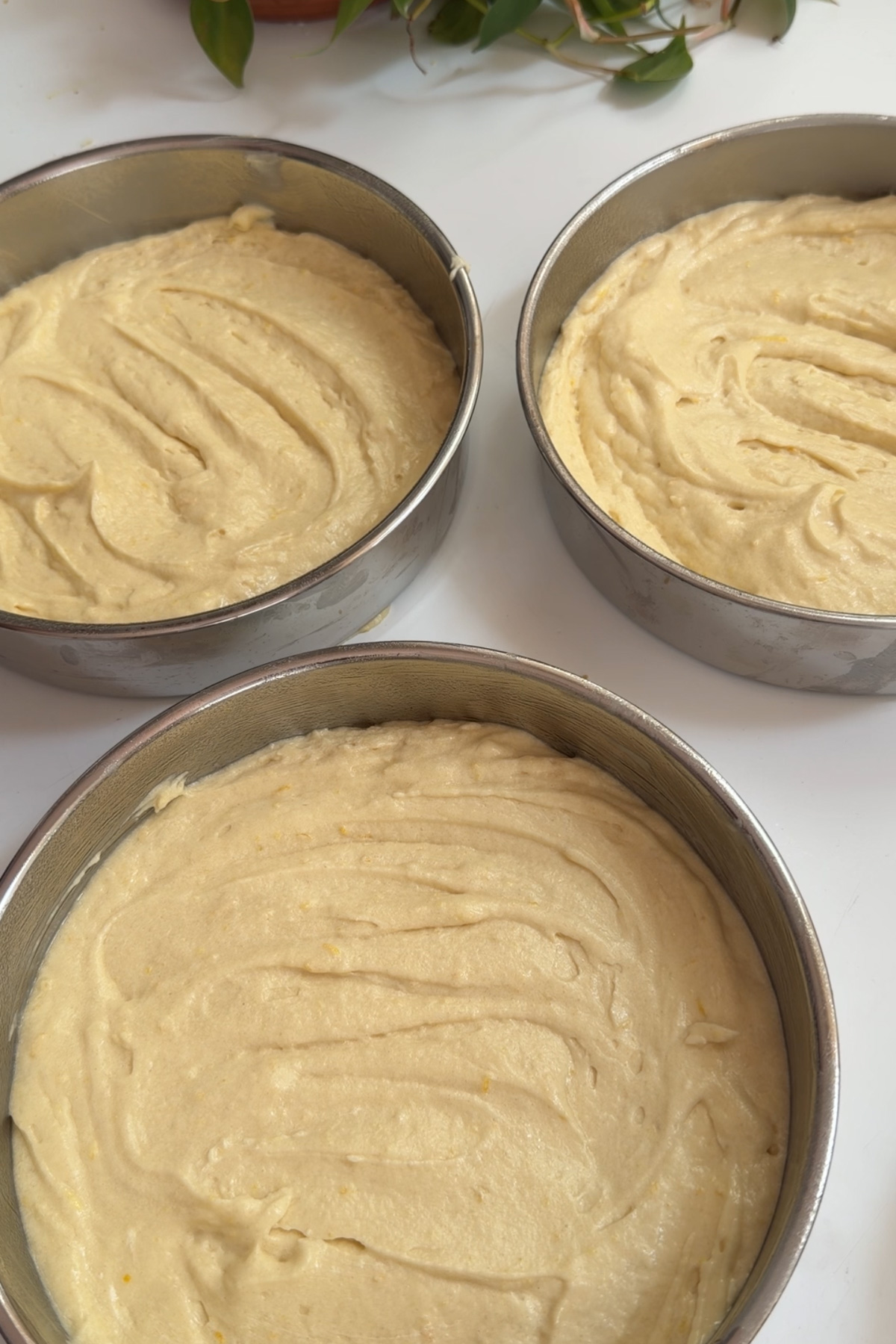 Lemon blueberry mascarpone cake batter divided between 3 8-inch cake pans before baking.