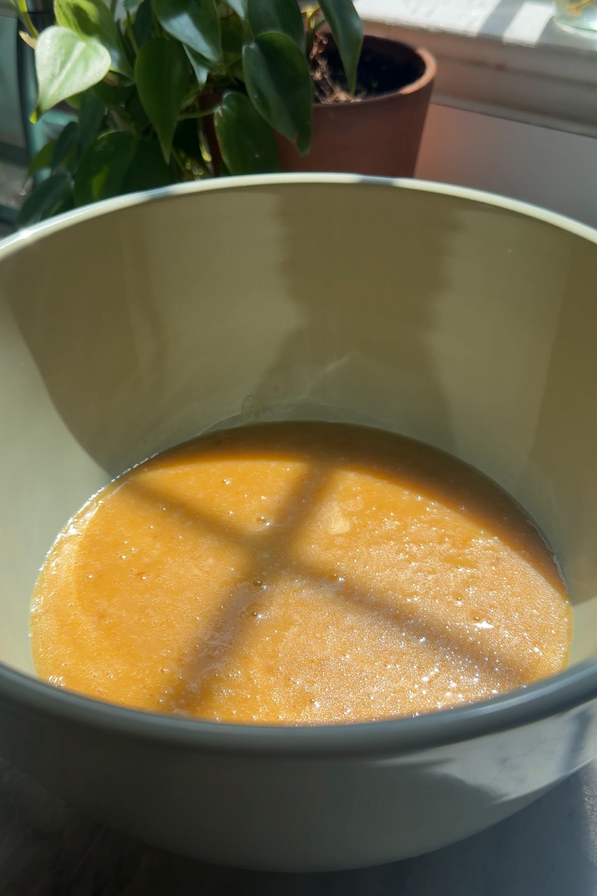 The wet ingredients for sourdough discard zucchini muffins in a ceramic mixing bowl with a plant in the background.