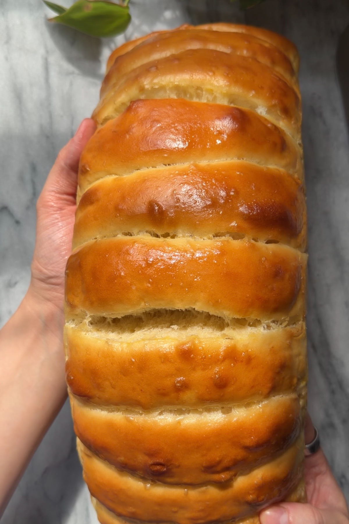 Picture of sourdough discard hotdog buns.