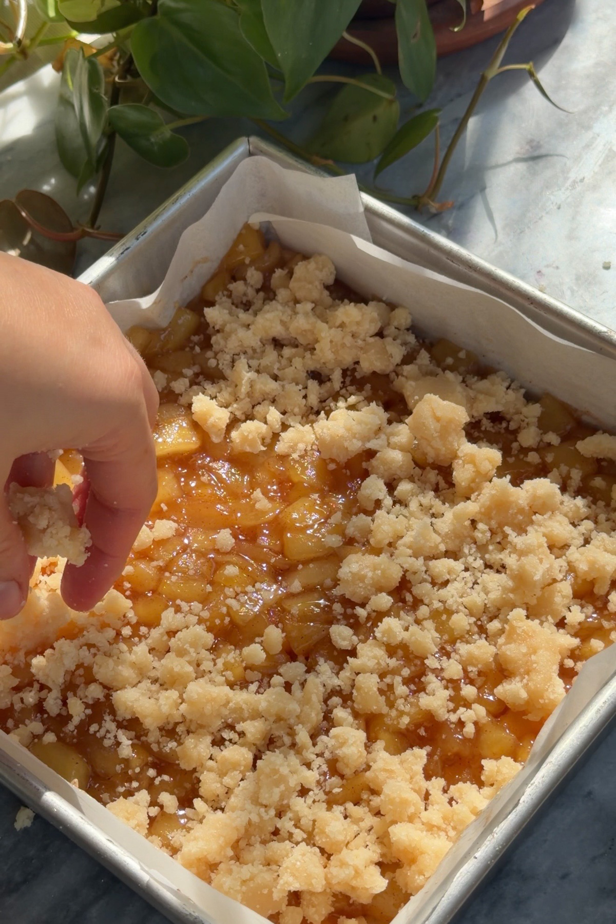 Shortbread crumble sprinkling over apple pie filling in a lined 8x8 baking pan for apple pie crumb bars.