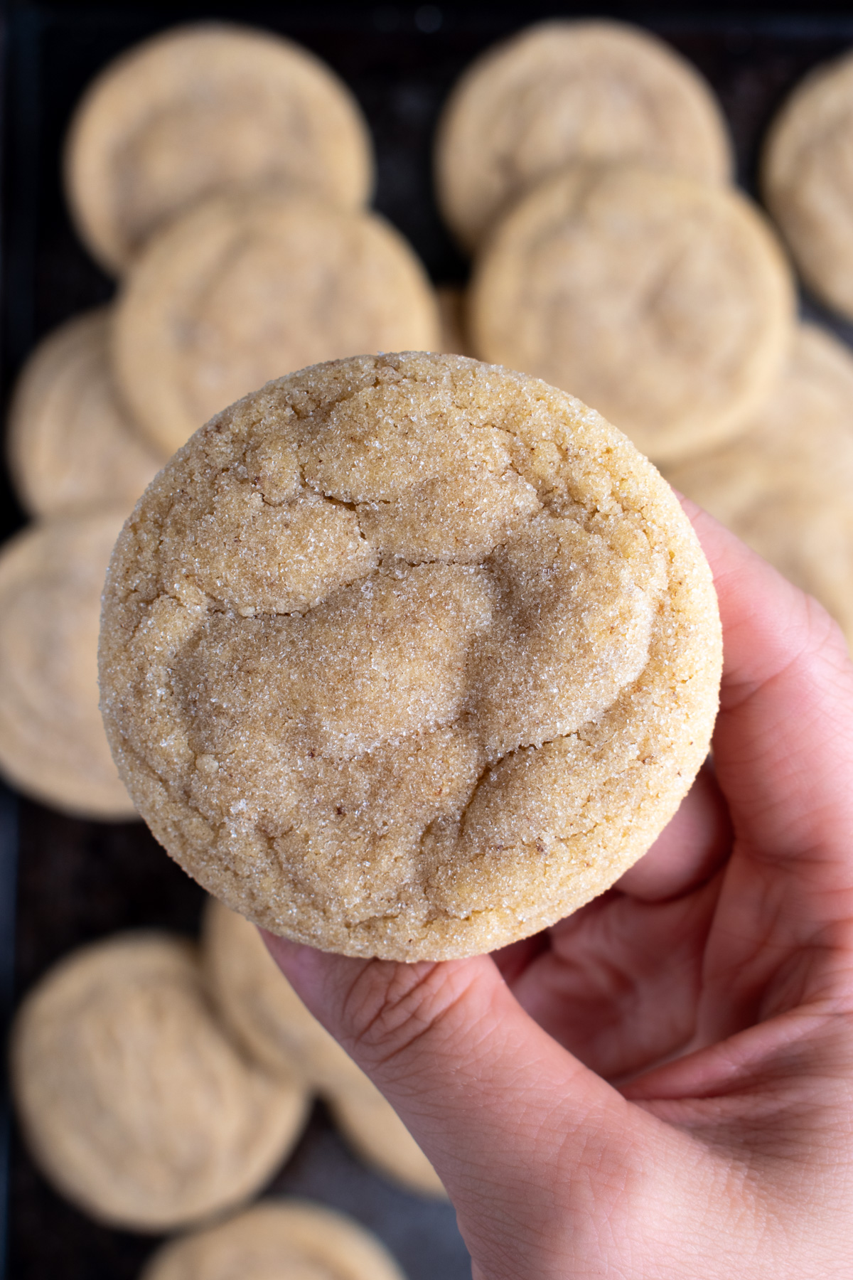 Overhead picture of a hand holding a brown butter sugar cookie rolled in sugar.