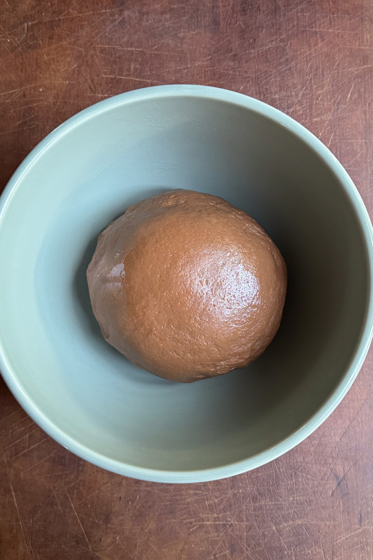 Overhead picture of chocolate cinnamon roll dough in a bowl for chocolate cinnamon rolls with cinnamon espresso cream cheese frosting.