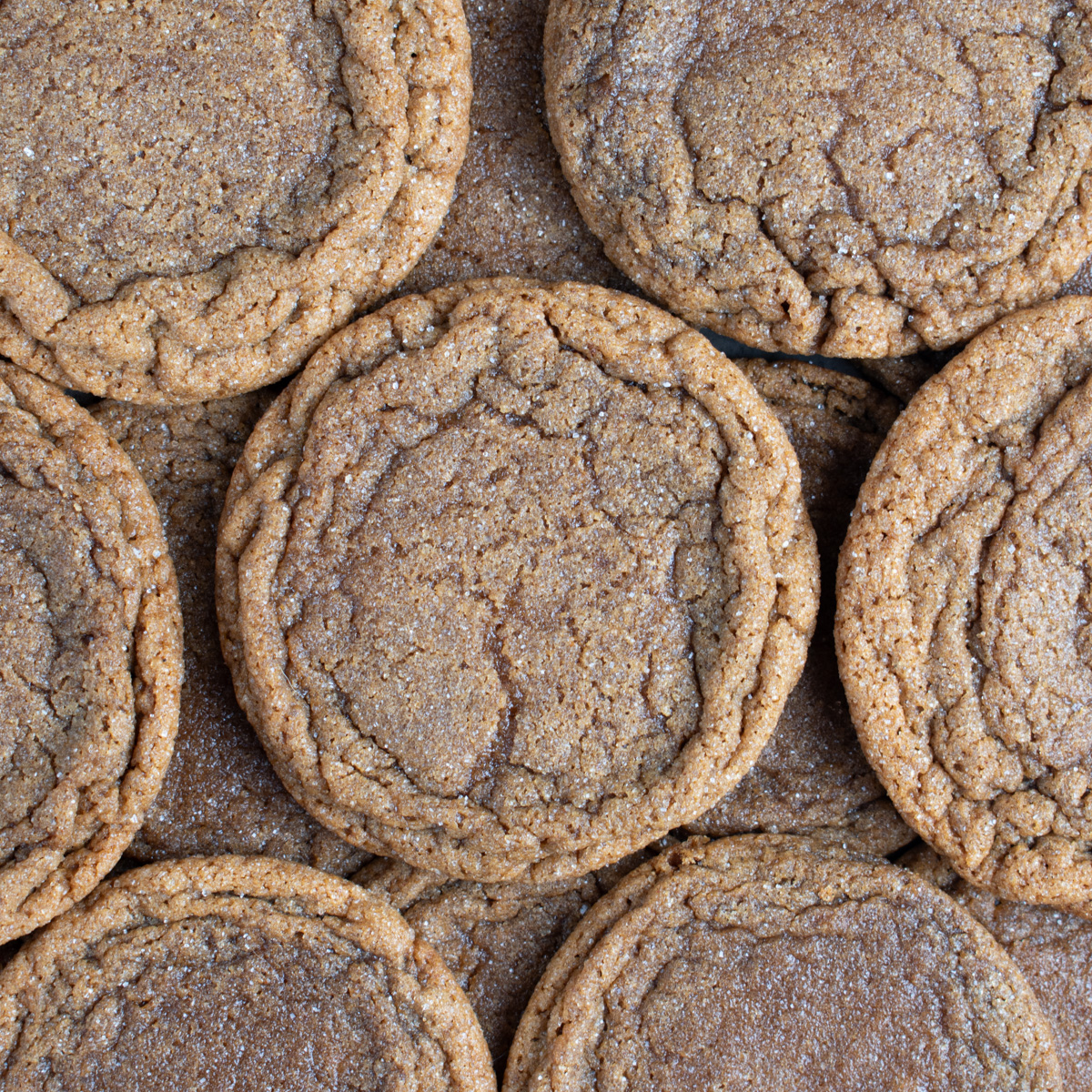 Chewy Gingerbread Latte Cookies - Kneaded That