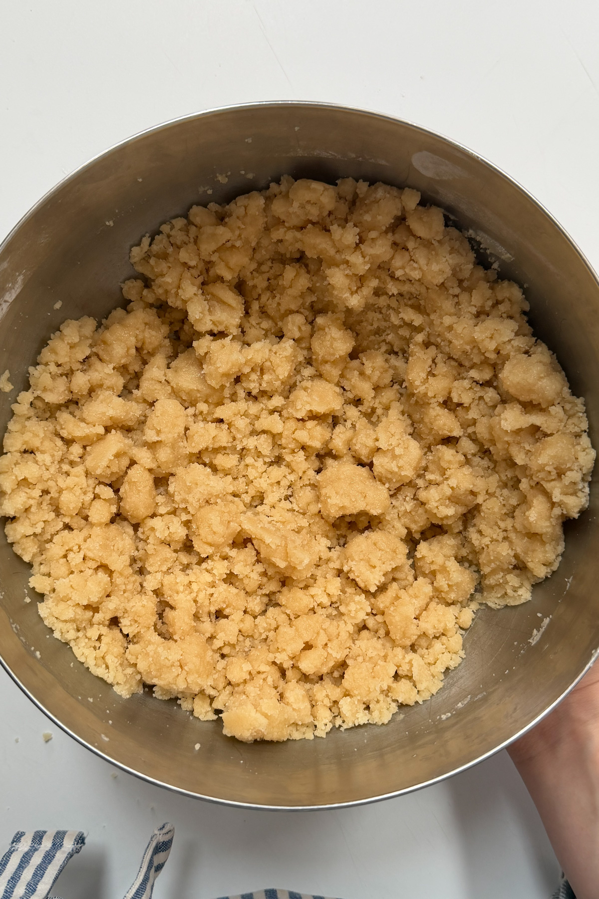 Picture of blueberry crumb bar dough in a stainless steel bowl.