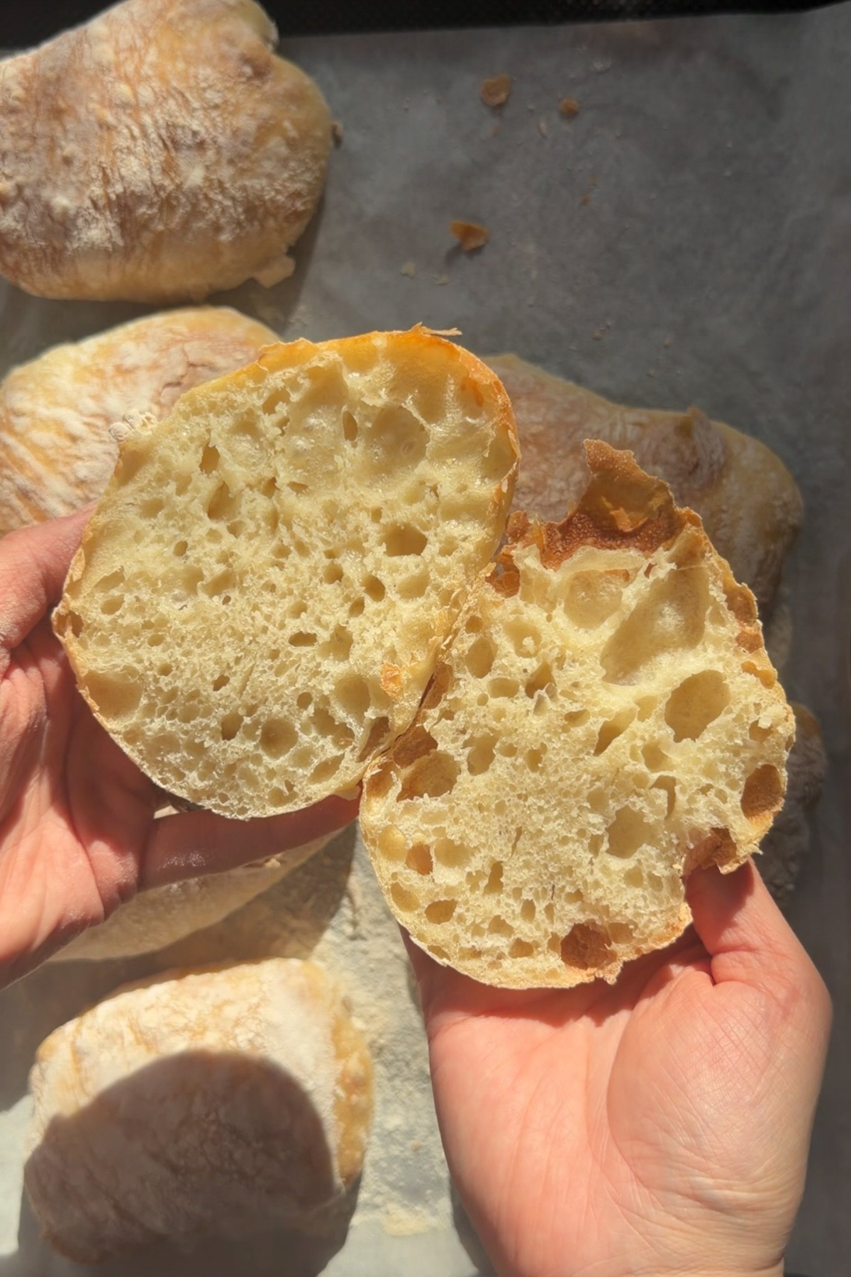 Picture of two hands holding a sourdough discard ciabatta roll cut in half exposing the open crumb.
