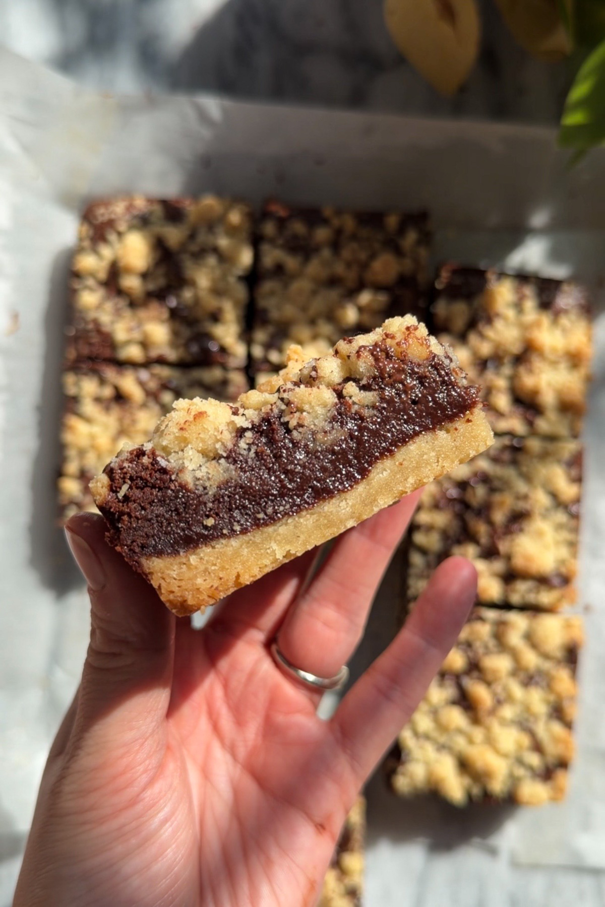 Overhead picture of a hand holding a brownie crumb bar showing its layers with more crumb bars lying flat in the background.