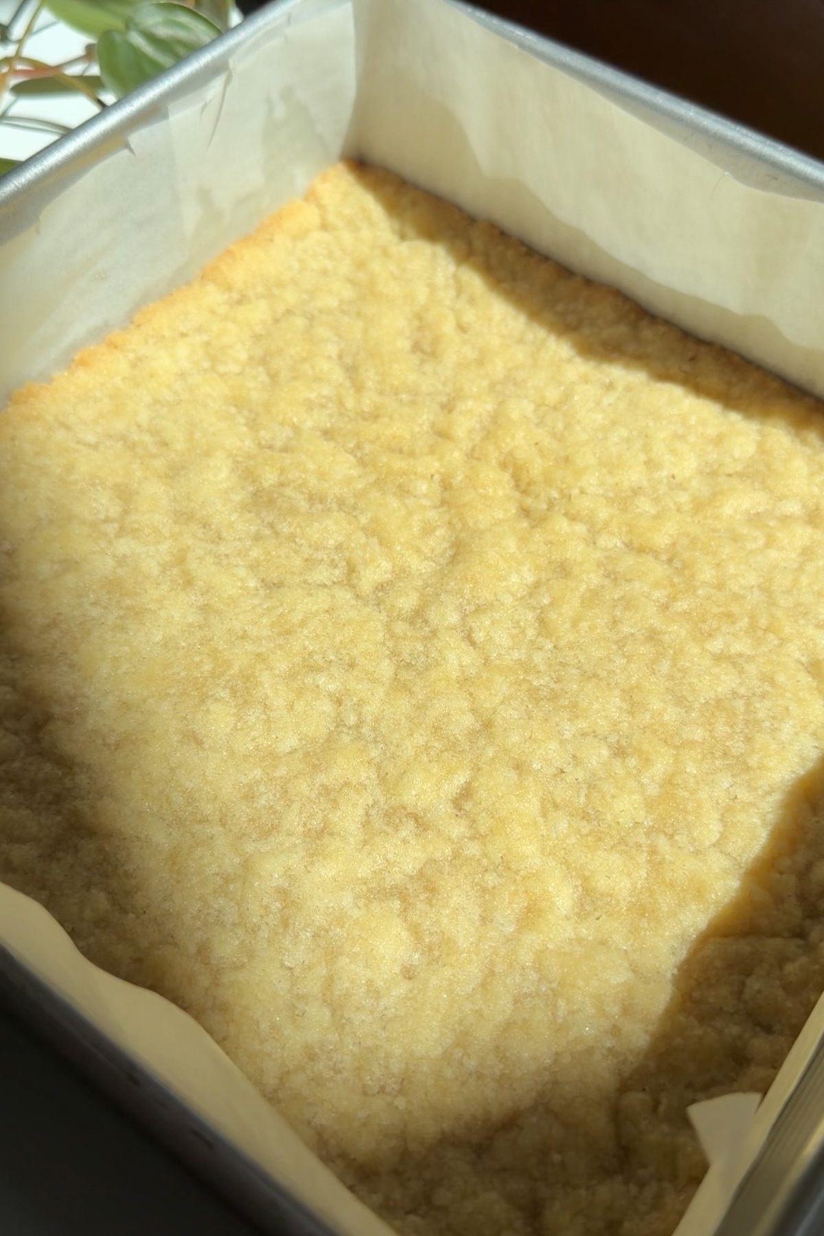 Picture of a par-baked shortbread crust pressed into the bottom of an 8x8 pan for brownie crumb bars.