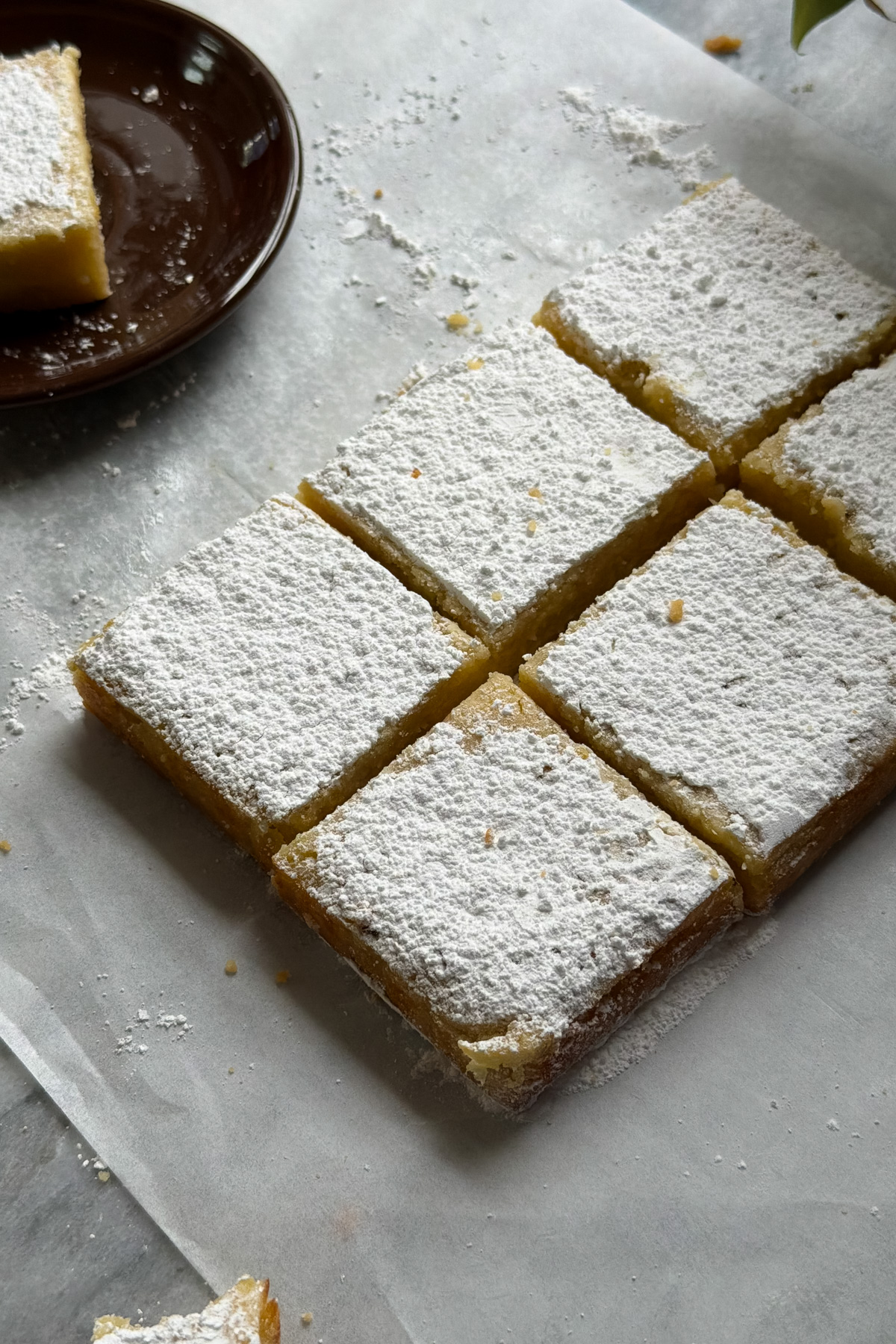 Picture of lemon crumb bars cut into 9 squares and topped with powdered sugar. 