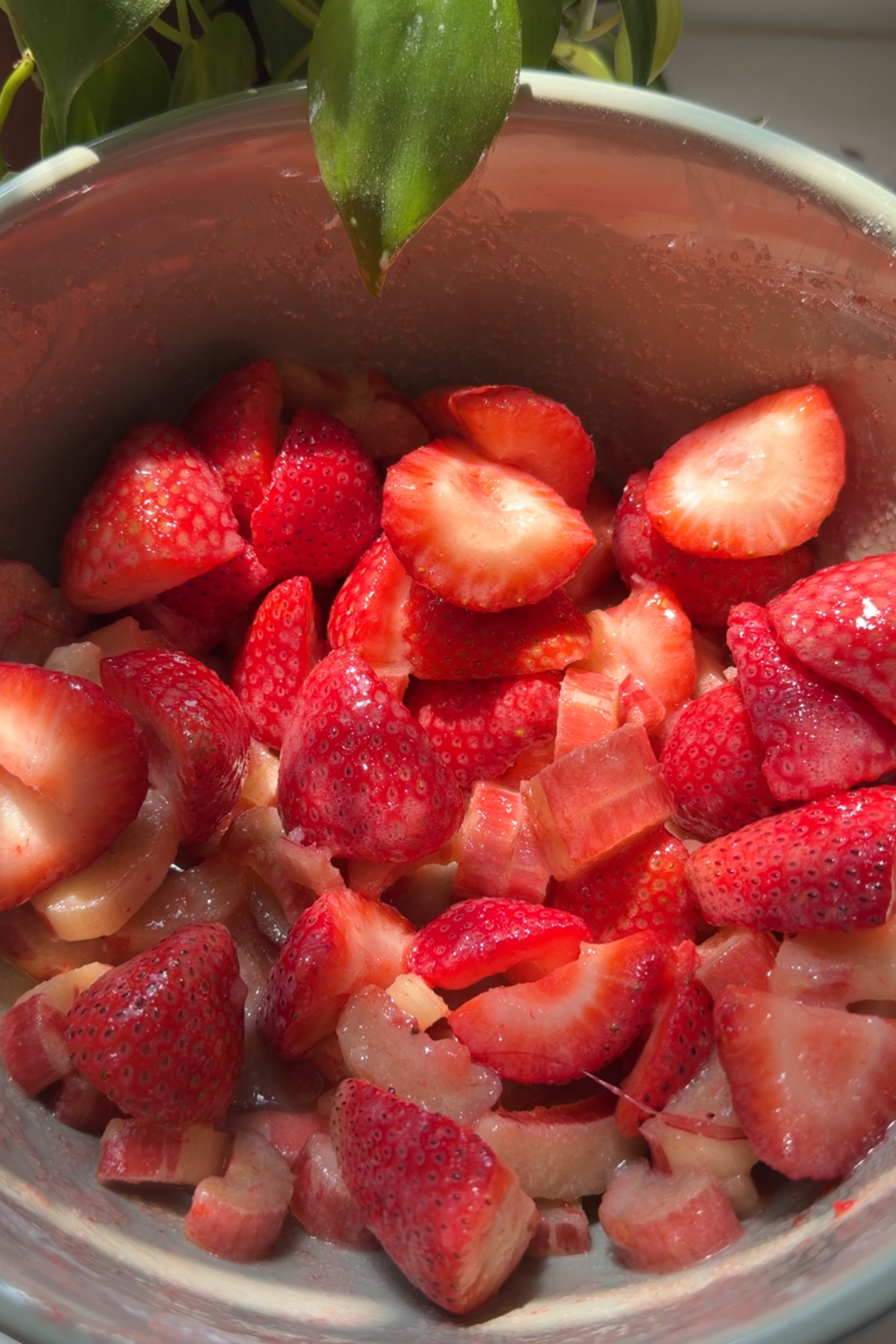 Overhead picture of the strawberry rhubarb filling for a strawberry rhubarb galette in a stainless steel mixing bowl next to a green plant.