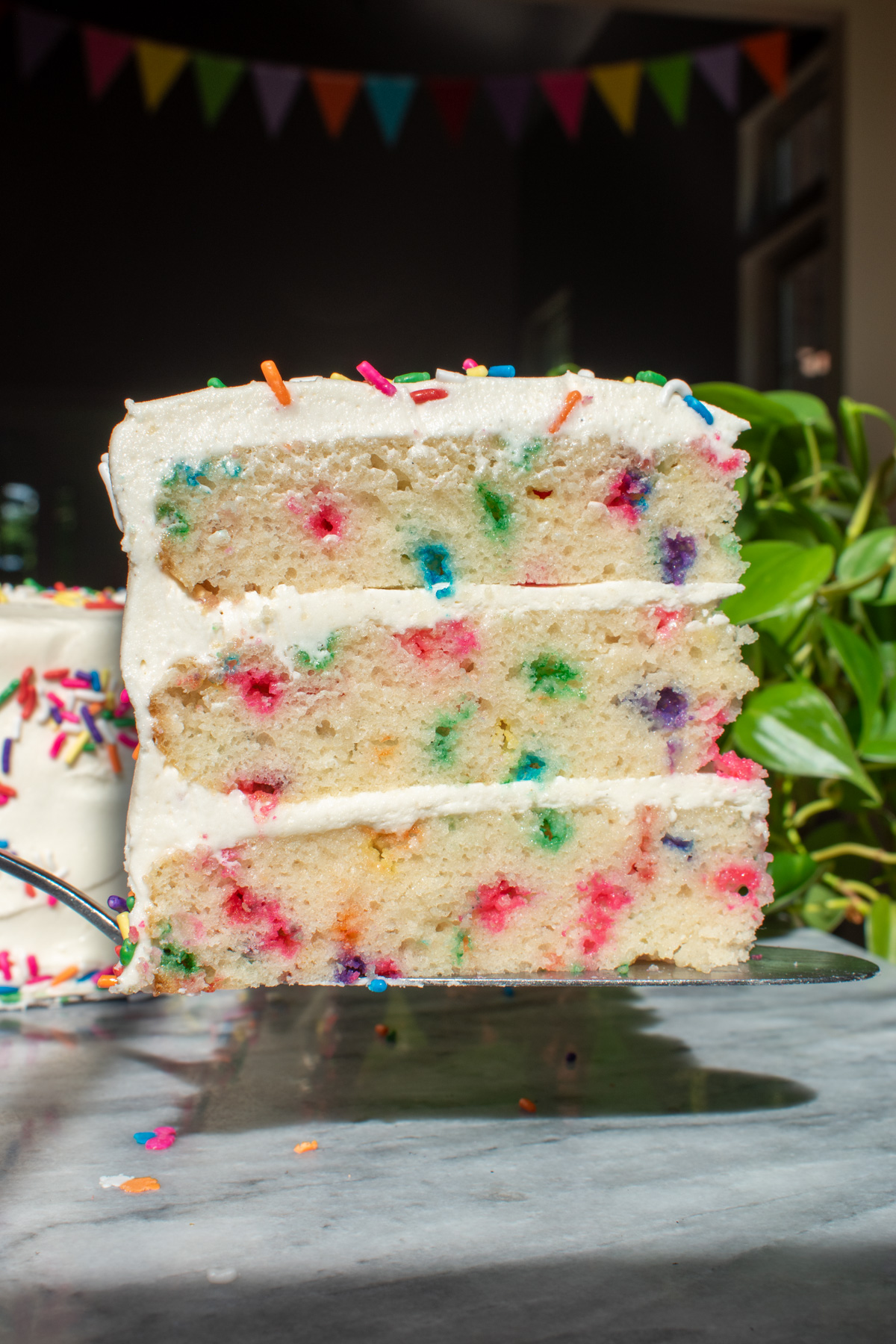 Sourdough discard funfetti birthday cake with rainbow sprinkles.