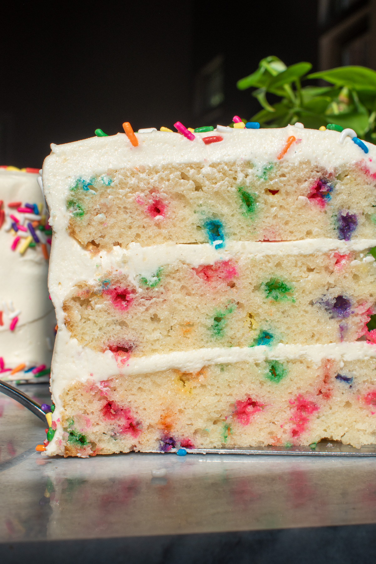 Sourdough discard funfetti birthday cake with rainbow sprinkles.