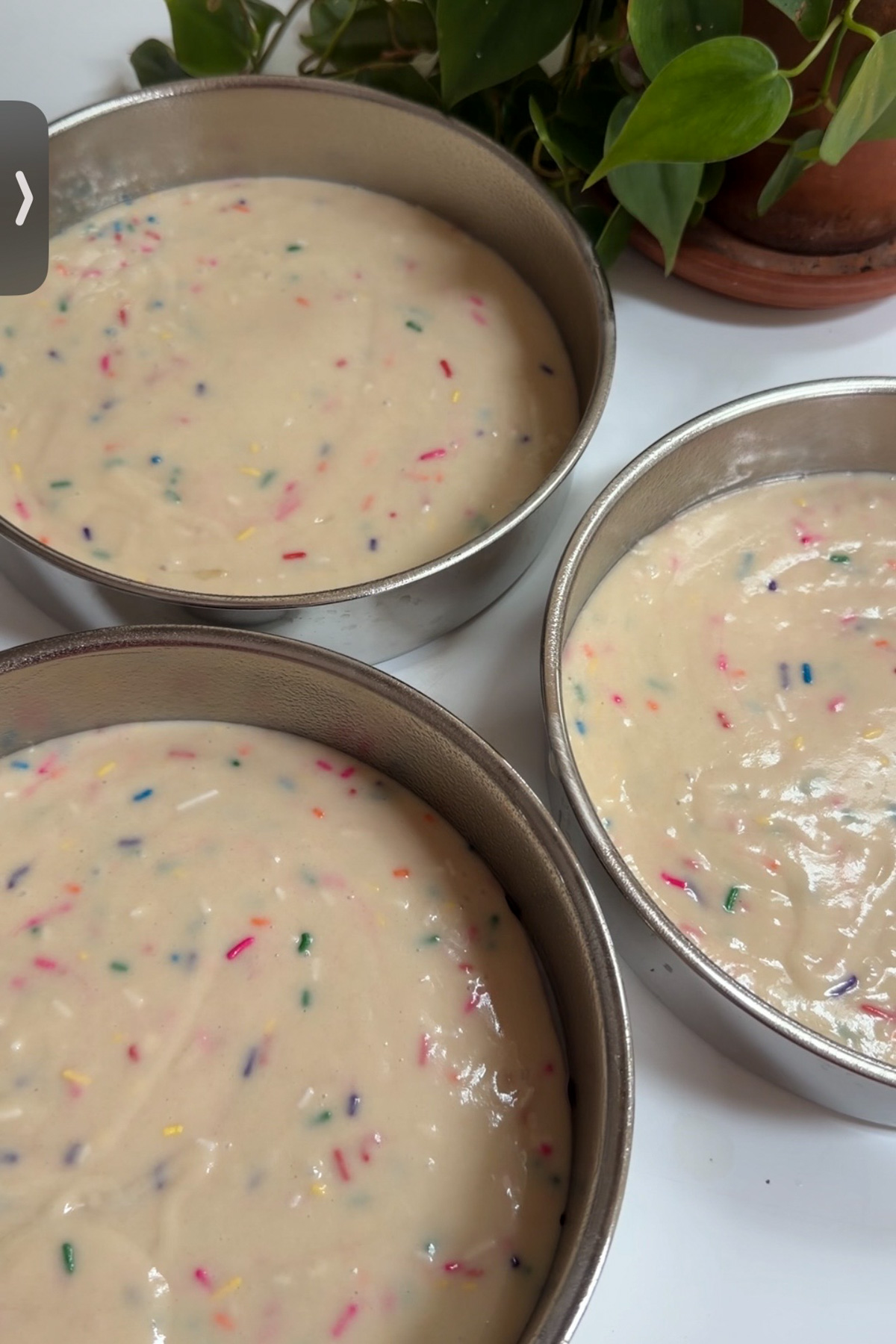 Sourdough discard funfetti cake batter divided between 3 cake pans before baking.