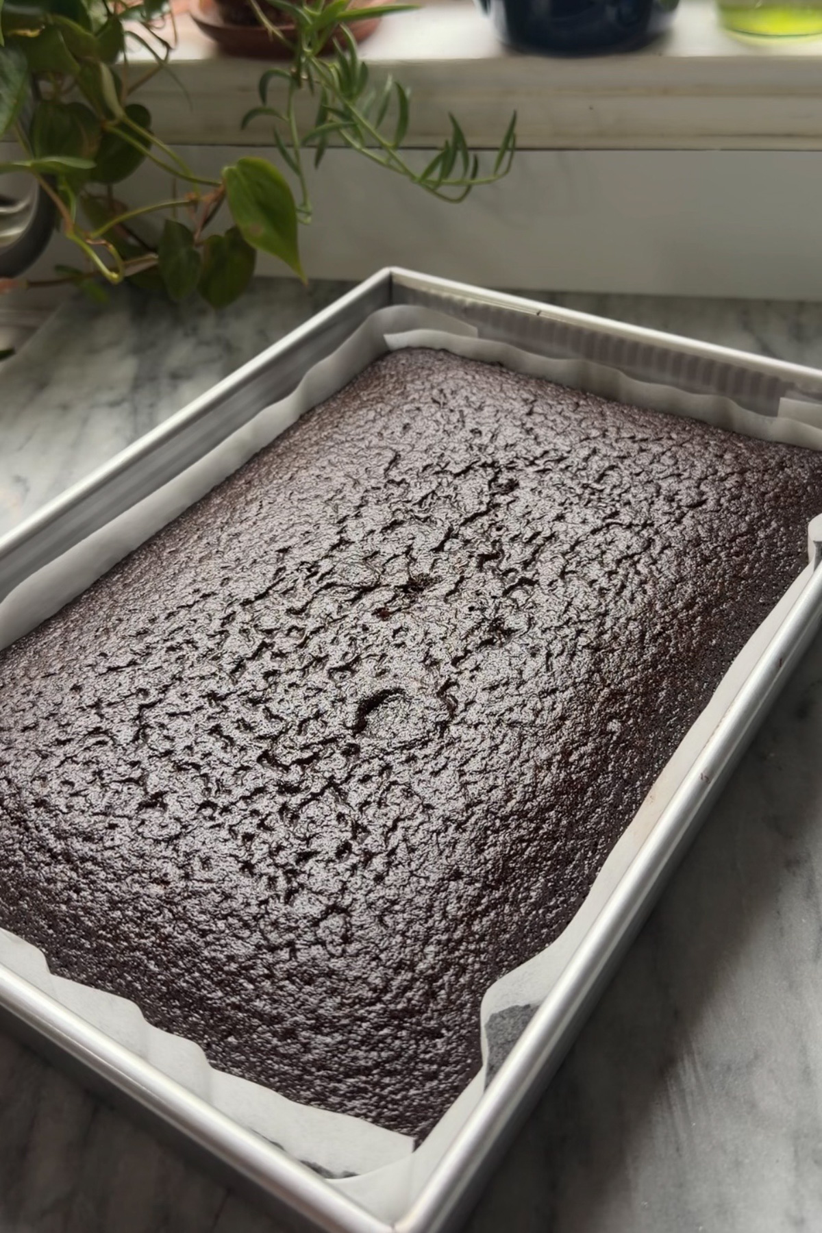 Chocolate cream cheese sheet cake in a 9x13 pan after being baked and before being decorated.