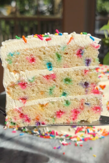 Picture of a slice of sourdough discard funfetti cake.