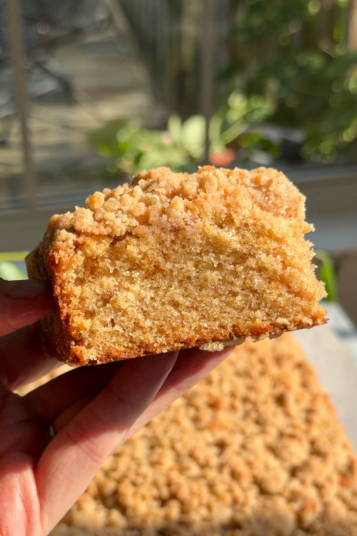 A hand holding a slice of New York-style applesauce crumb cake.