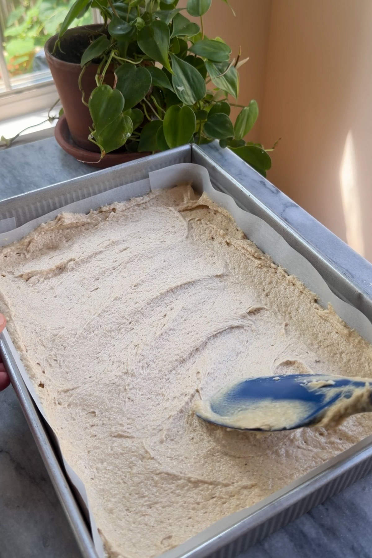 Cake batter in a 9x13 pan for New York-Style Applesauce Crumb Cake.