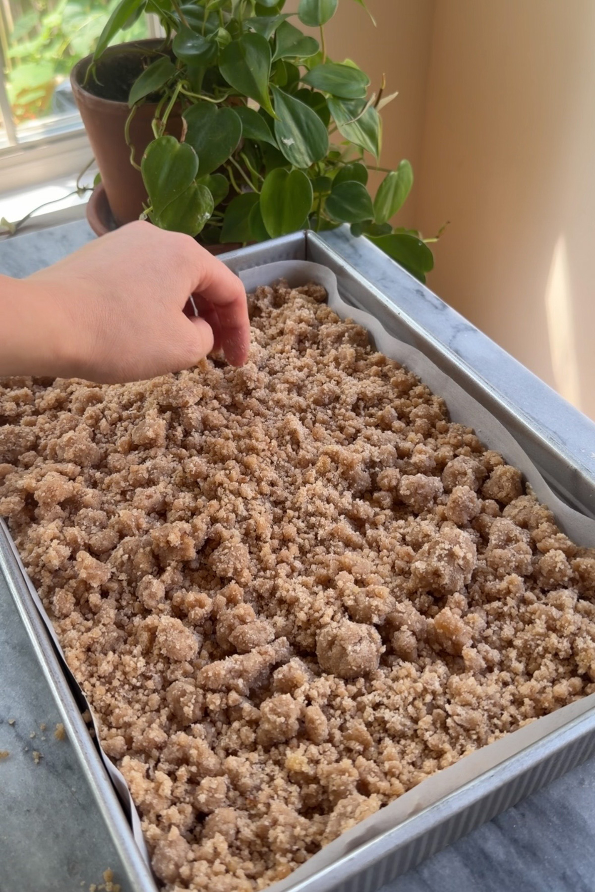 A hand putting streusel topping over a 9x13 New York-Style Applesauce Crumb Cake.
