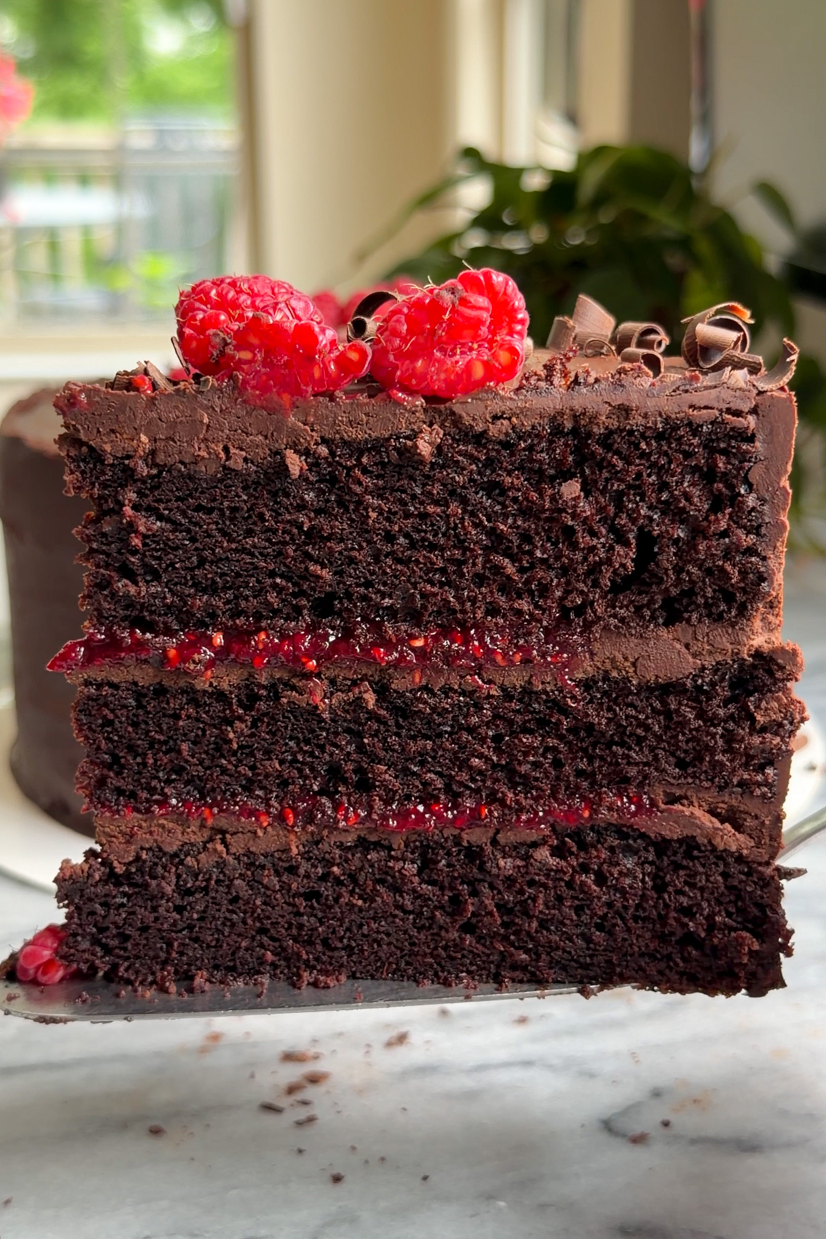 A slice of dark chocolate and raspberry cake with chocolate ganache frosting and raspberry compote between the layers. The cake is topped with chocolate curls and fresh raspberries.