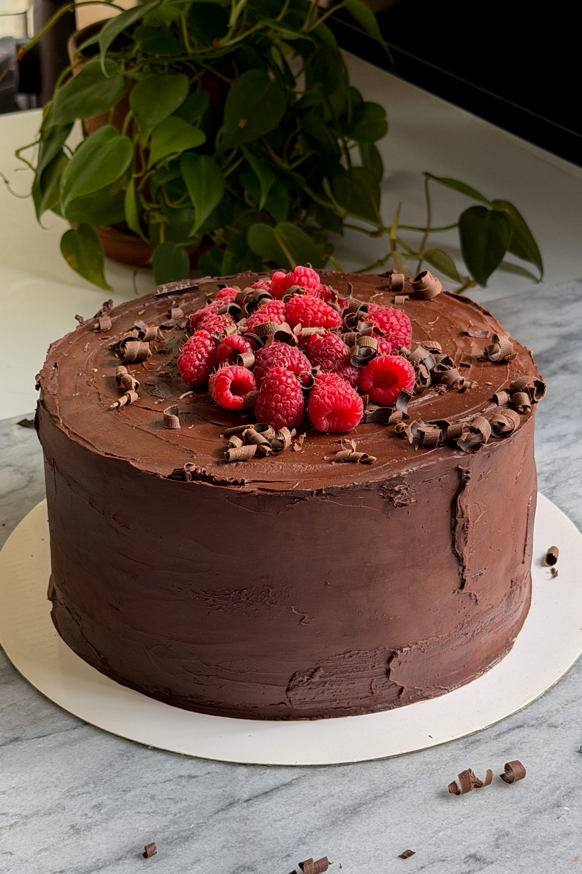 An assembled dark chocolate raspberry layer cake on a marble countertop with chocolate curls and fresh raspberries on top.