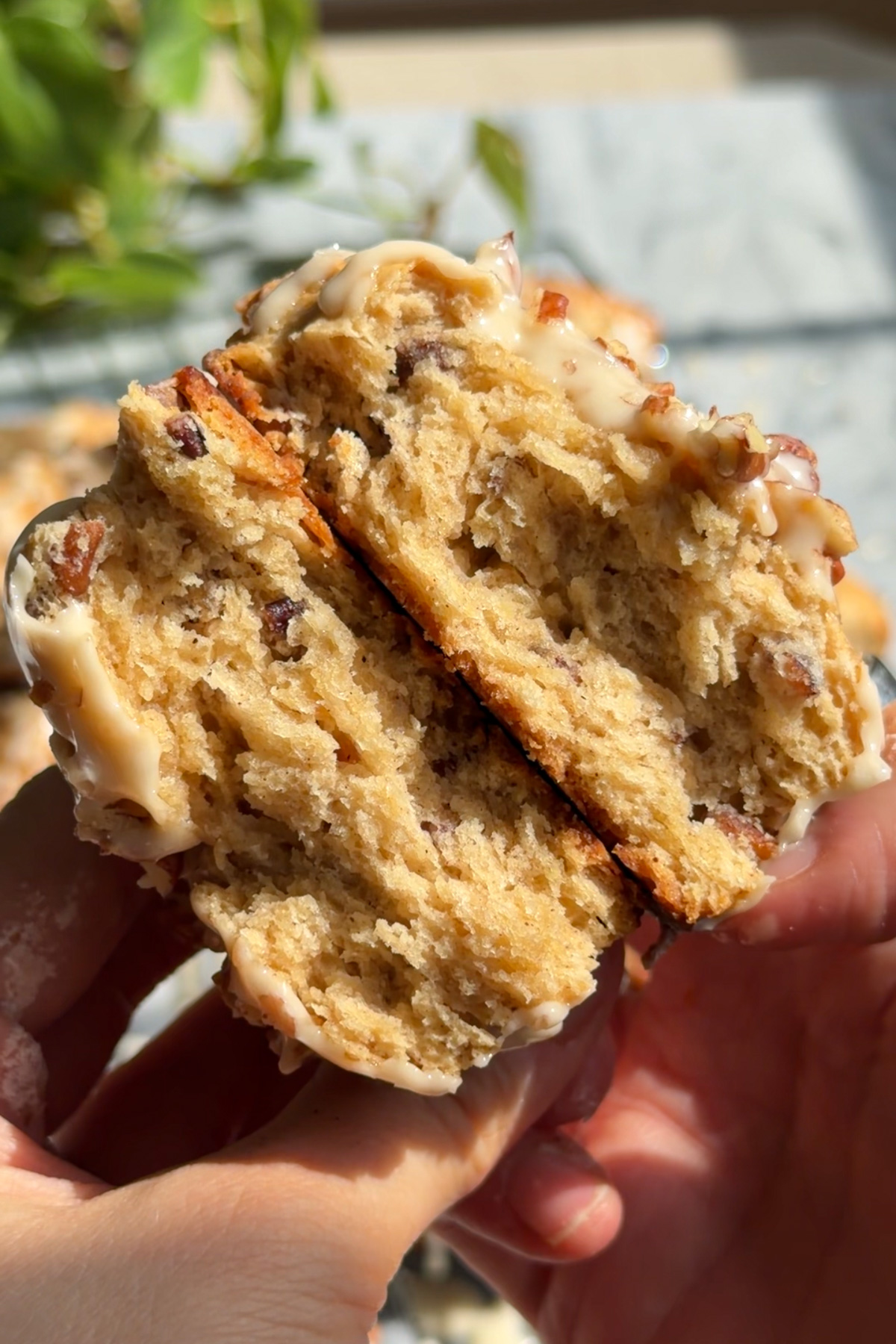 Two hands holding a maple pecan scone that is cut in half to show the moist texture and pecans throughout.