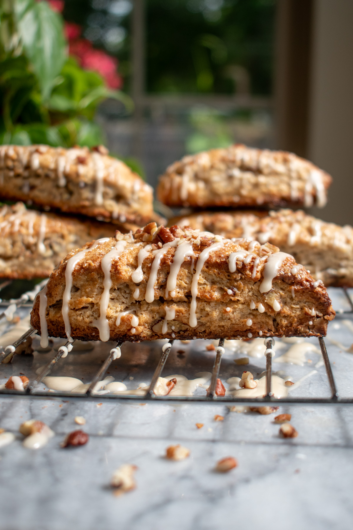 A maple pecan scone on a cooling rack covered in maple glaze and topped with chopped pecans, with more scones stacked on top of each other in the background.