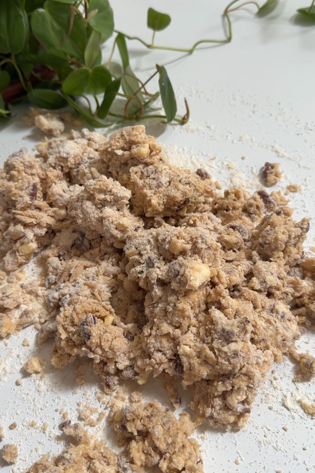 Crumbly maple pecan scone dough on a floured surface before shaping.