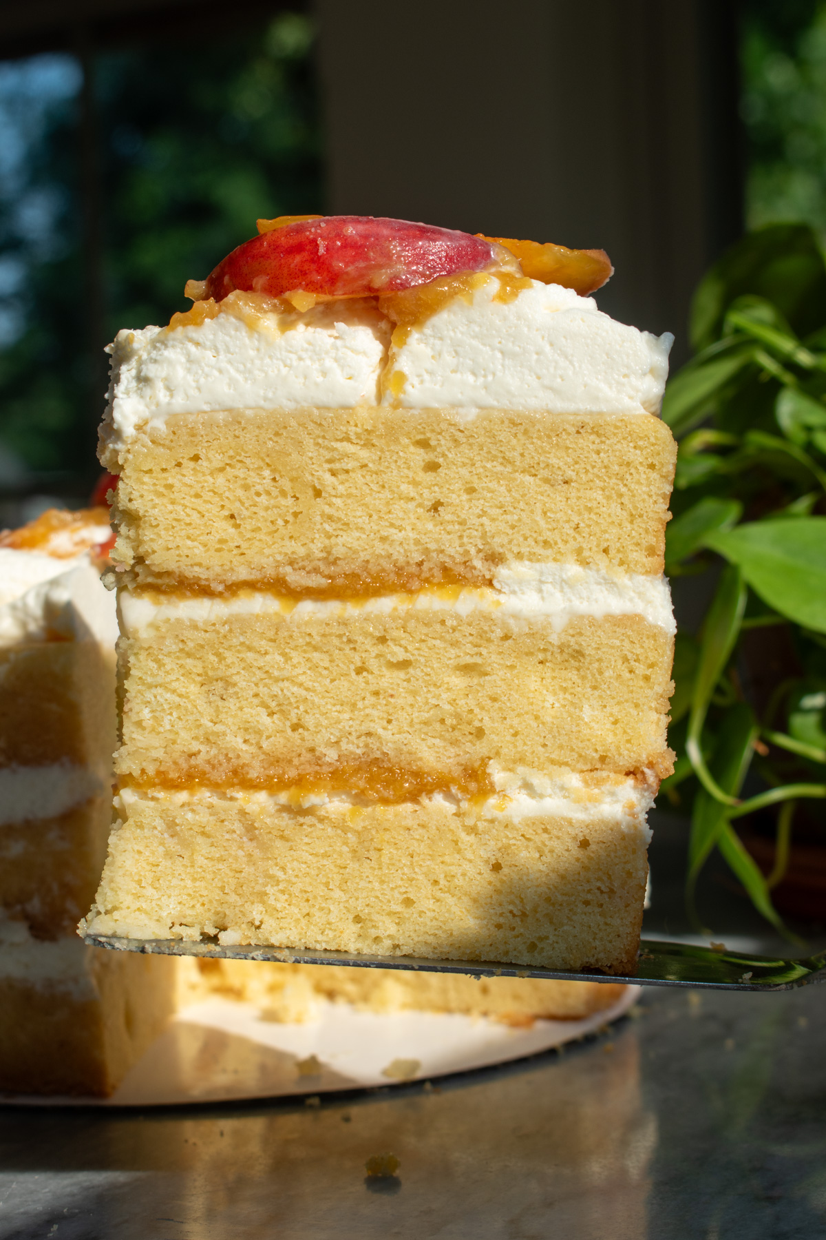 A slice of brown butter bourbon peaches and cream cake with layers of whipped cream and bourbon peach compote.