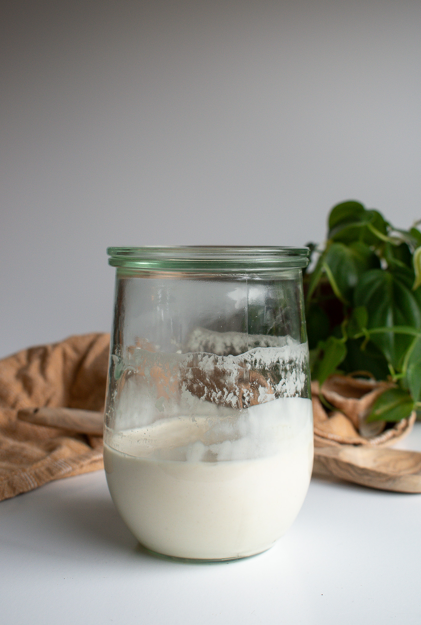 Sourdough discard in a jar with green plants and a yellow tea towel in the background.
