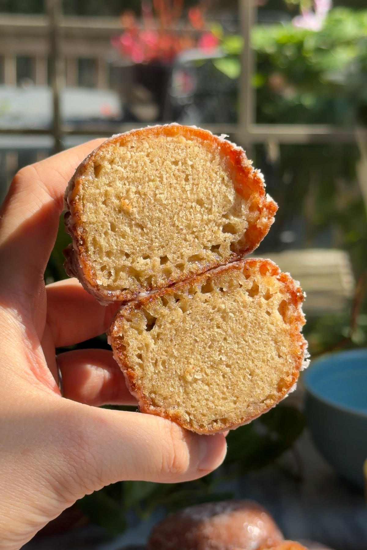 A hand holding a glazed applesauce fritter that is cut in half to show its tender crumb and crackly crust.