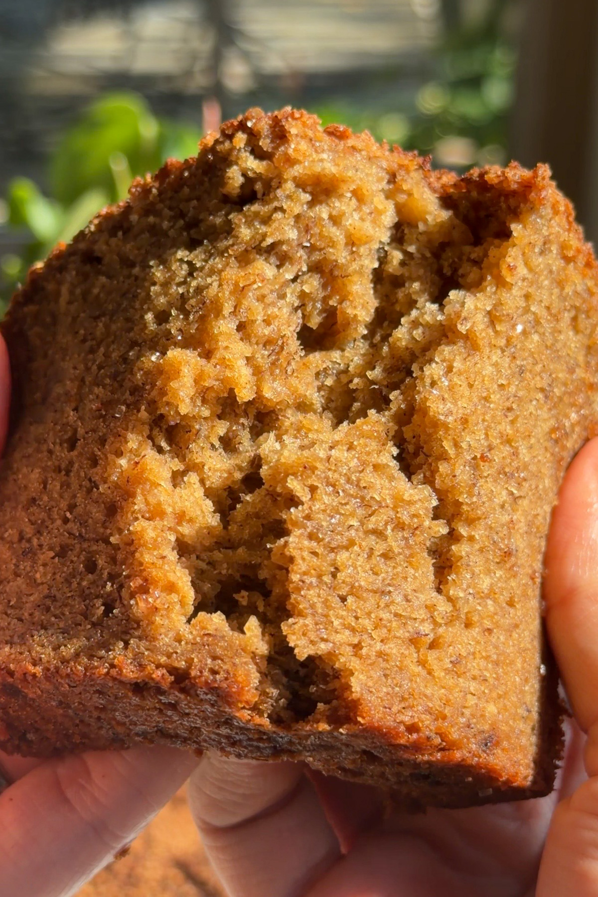 A slice of apple butter banana bread being torn in half to show the moist texture and fine crumb.