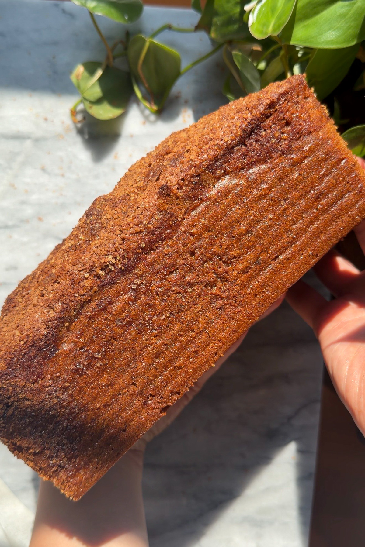 The side view of a finished apple butter banana bread loaf.