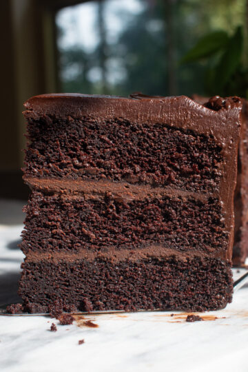A slice of fugdy chocolate Matilda cake on a marble countertop in front of the rest of the cake and a window.