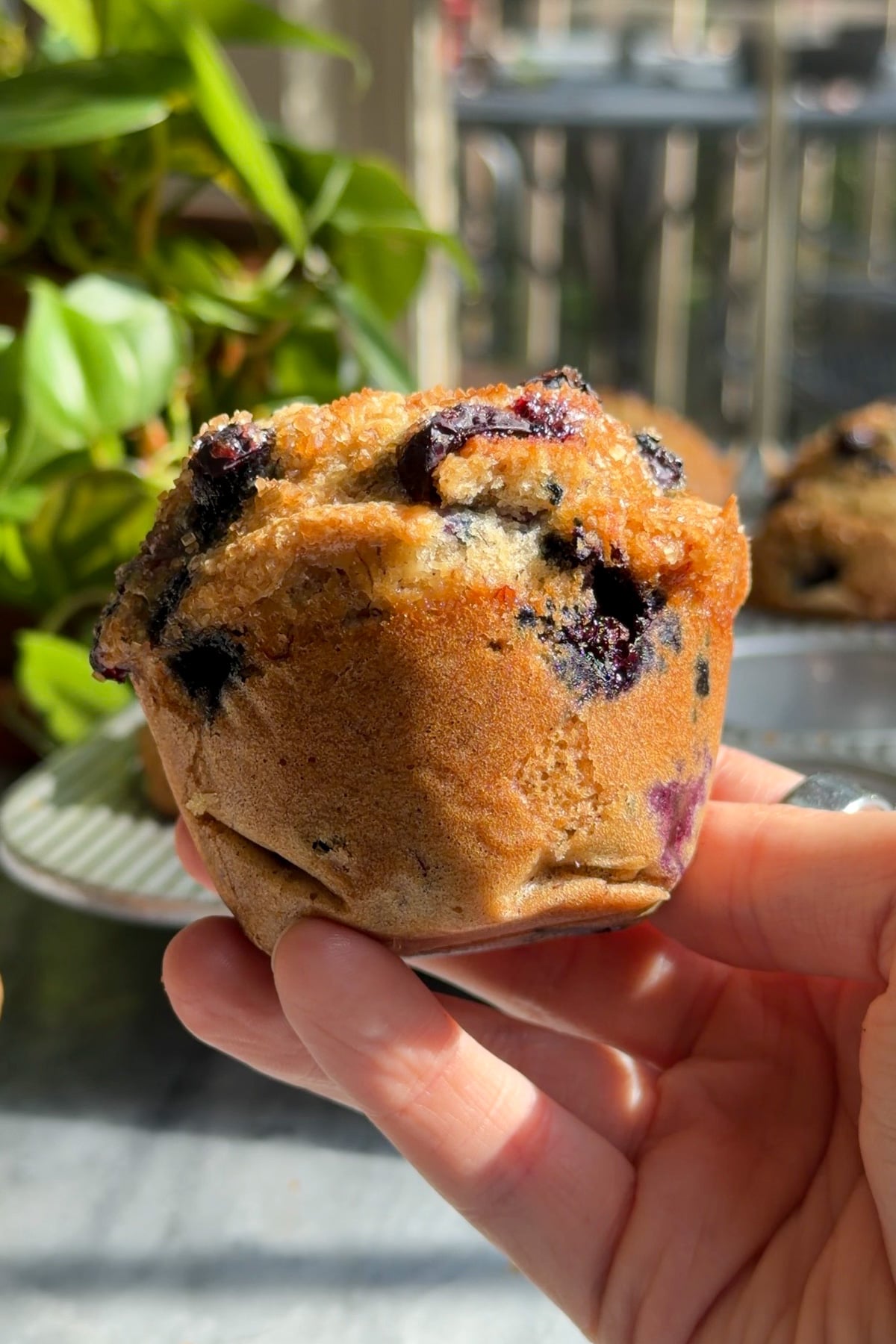 A hand holding a golden banana blueberry muffin topped with turbinado sugar.