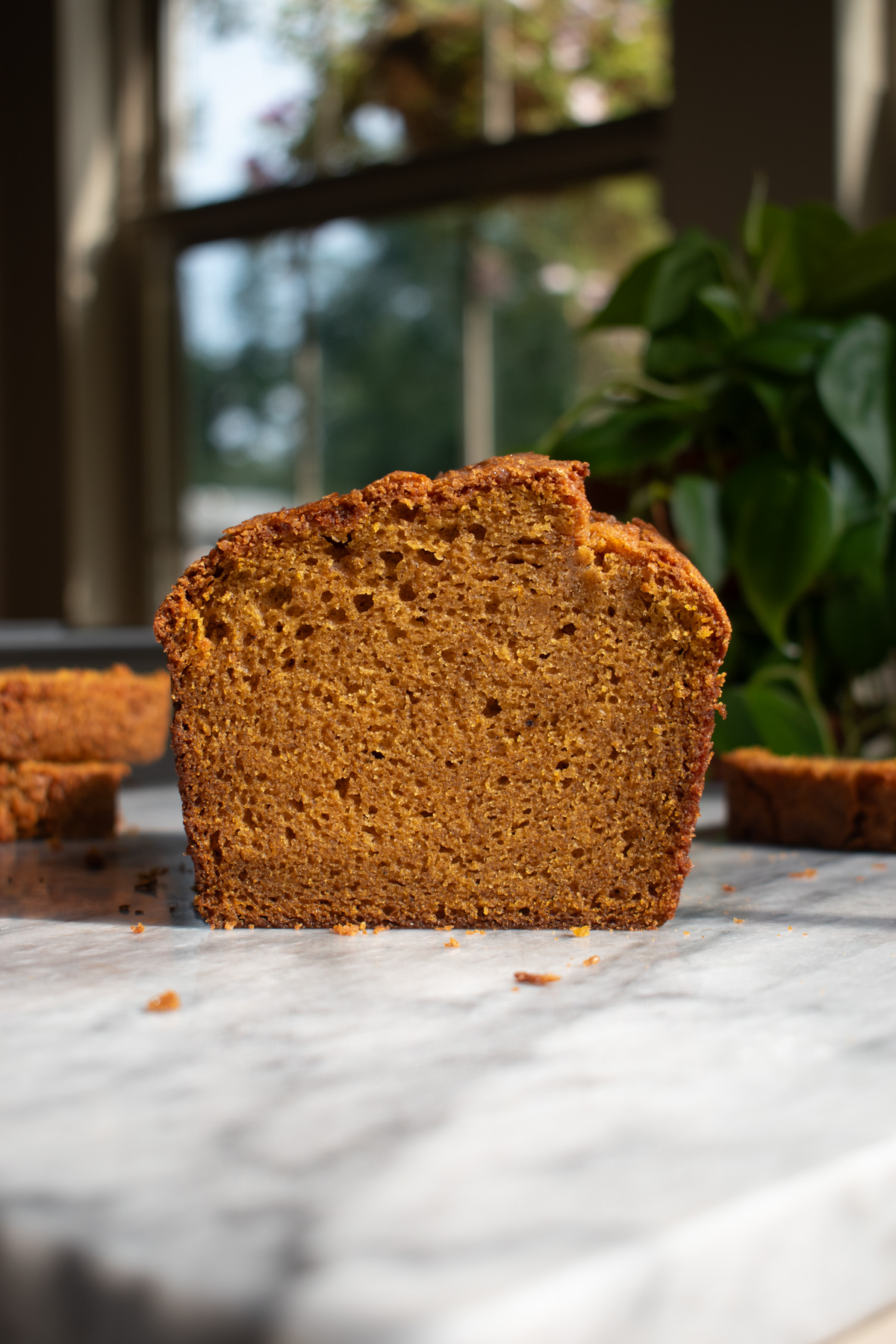 A slice of pumpkin bread in front of a window.
