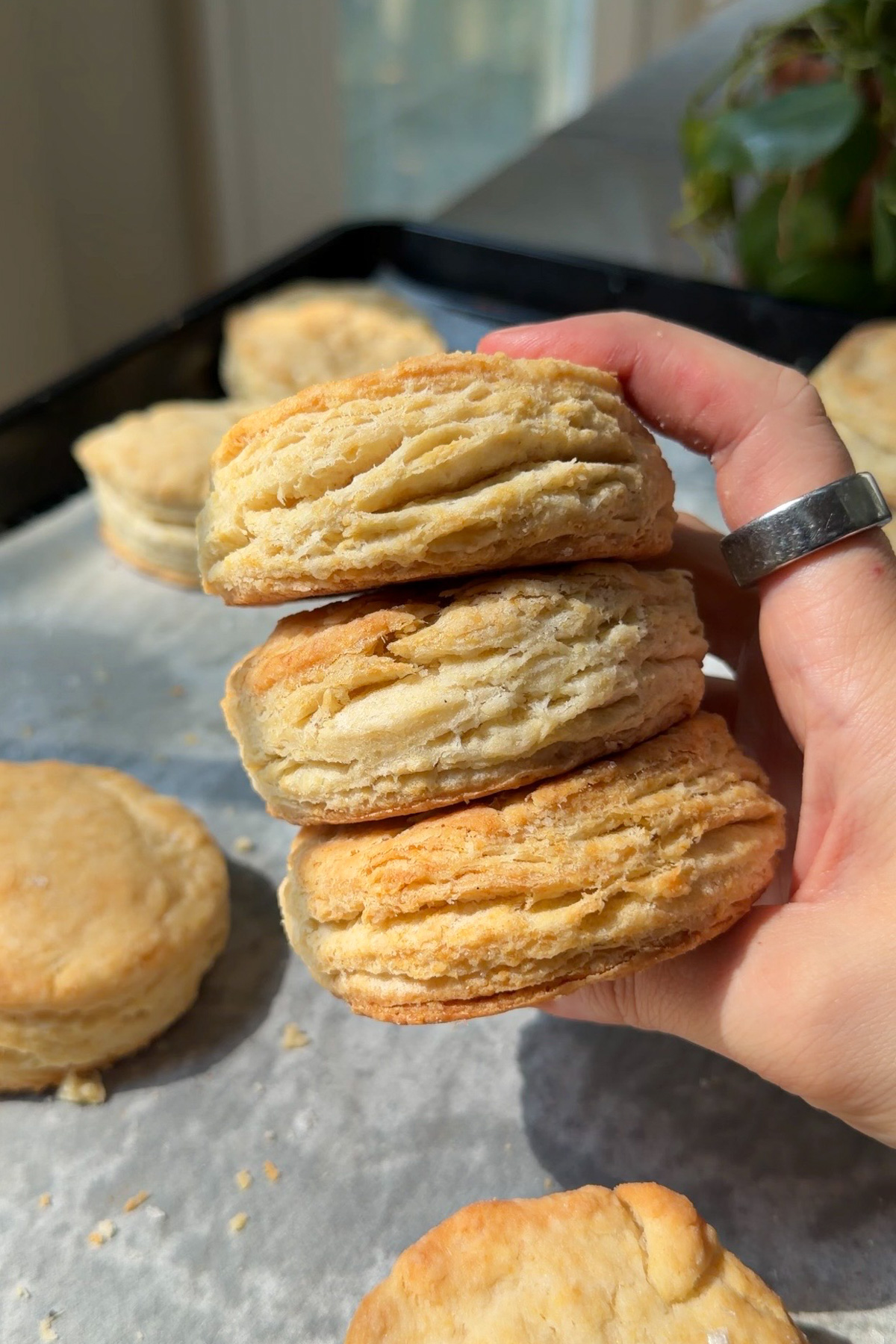 Three buttery, flaky sourdough discard biscuits being held stacked in one hand.