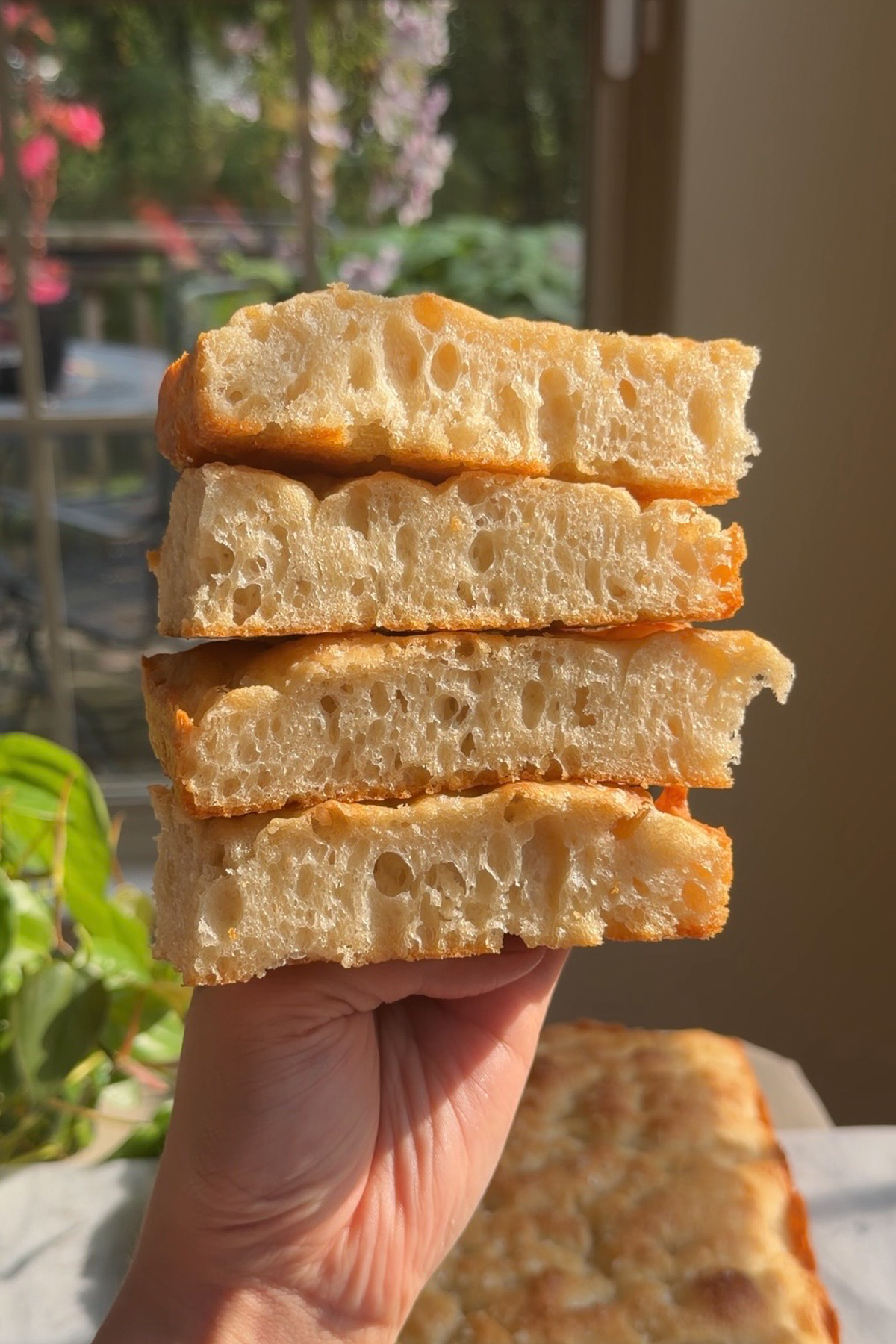 A hand holding four slices of sourdough discard focaccia in front of plants and a window.