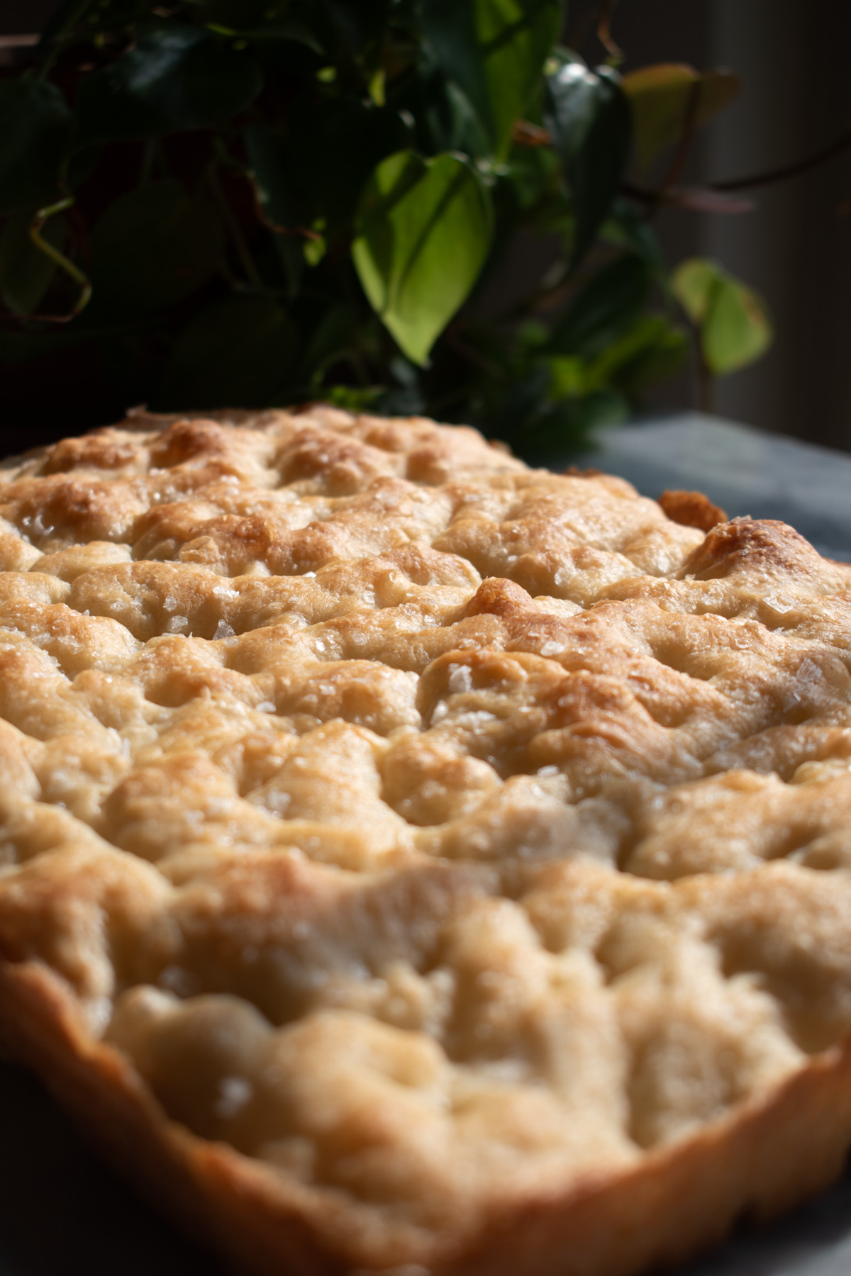 Sourdough discard focaccia bread topped with flaky salt.