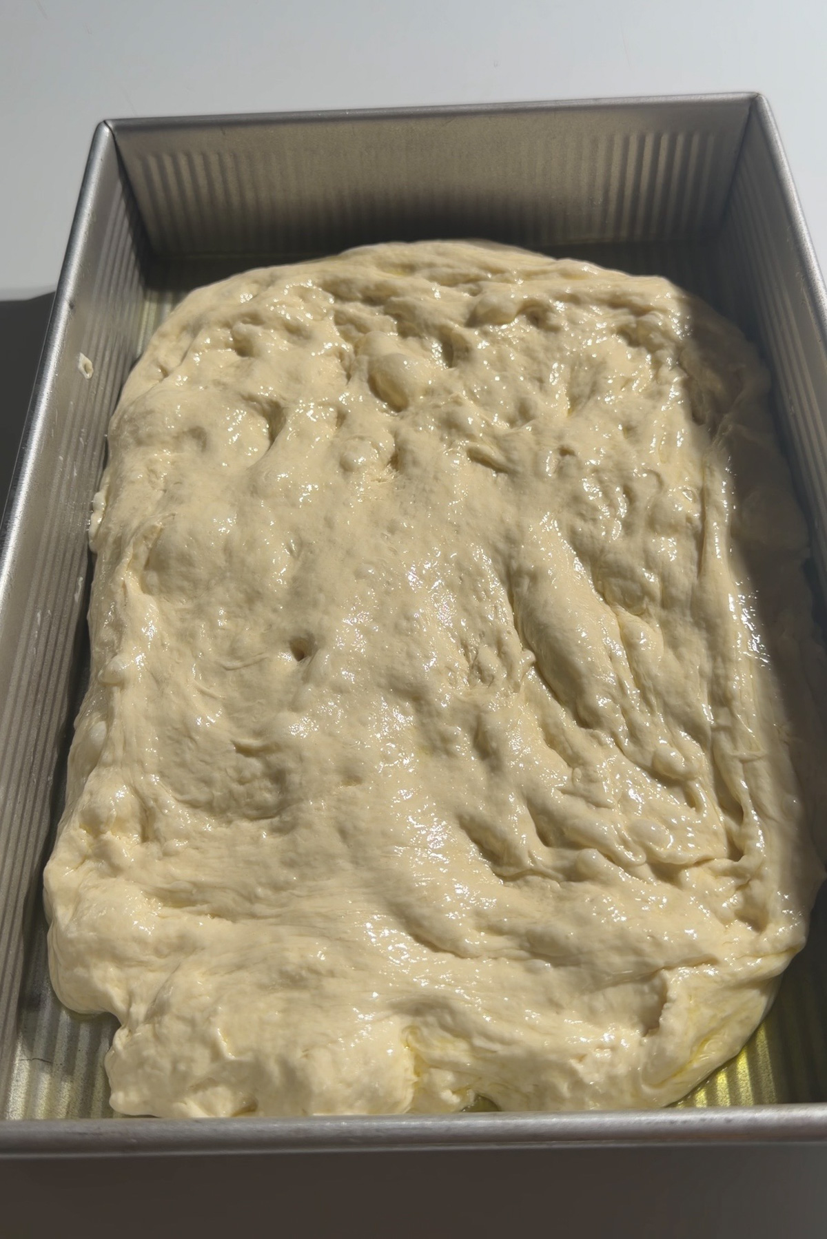 Sourdough discard focaccia bread dough after being transferred to a 9x13 pan.