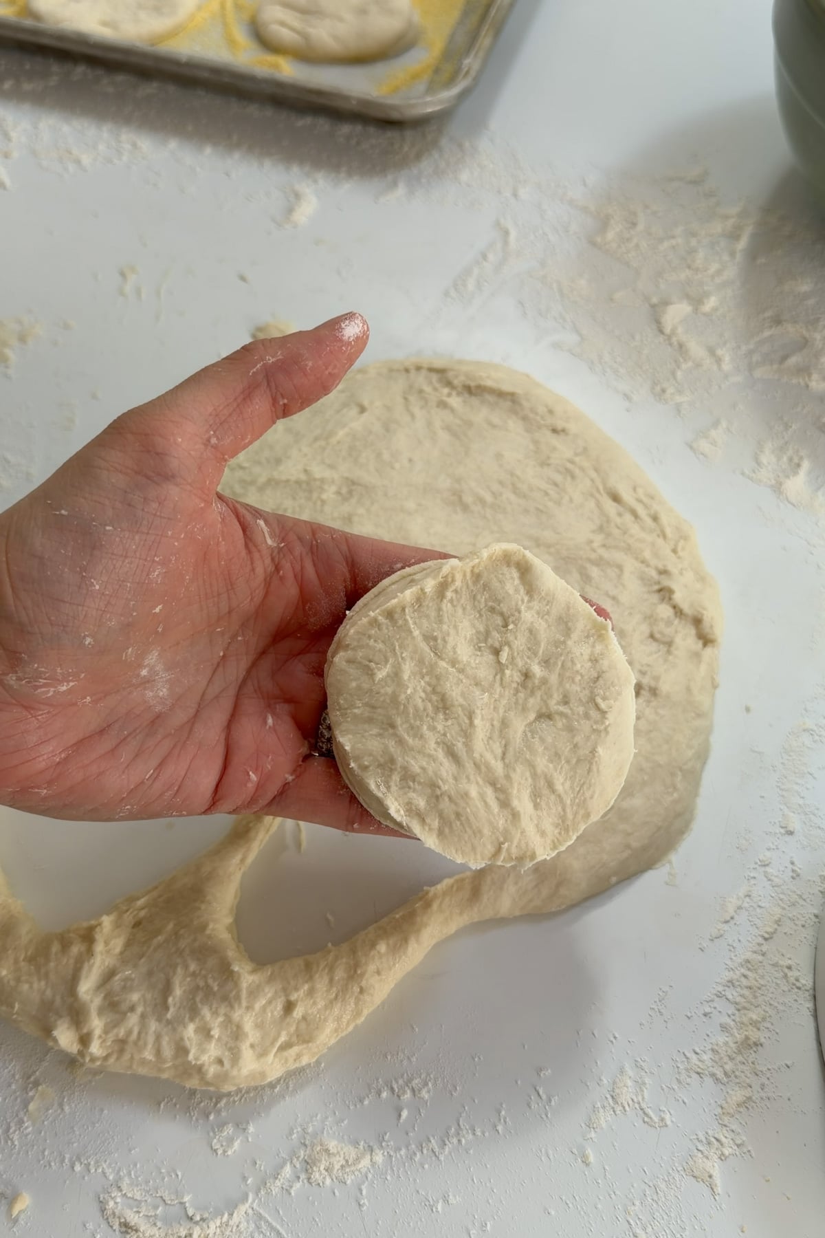 The dough for sourdough discard English muffins flattened and cut into circles before cooking.